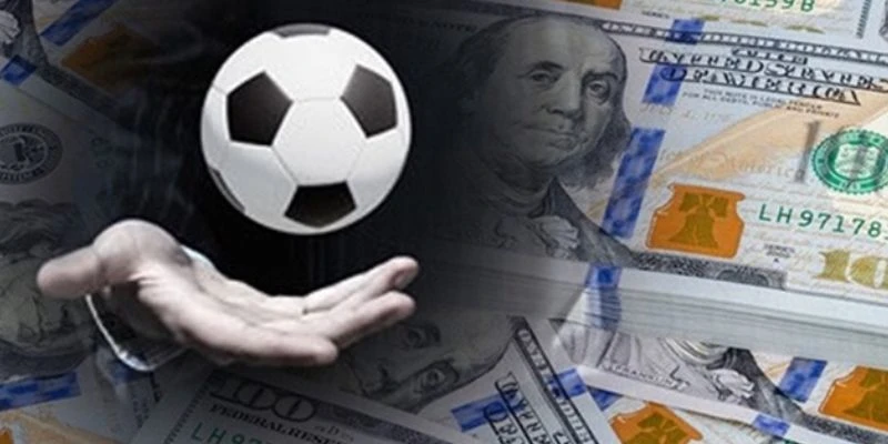 Phân tích dữ liệu như thế nào để dự đoán tỷ số chuẩn?