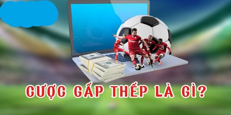 Khái quát về cược gấp thếp 