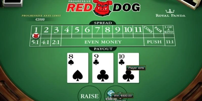 Mẹo cược Red Dog hiệu quả nhất