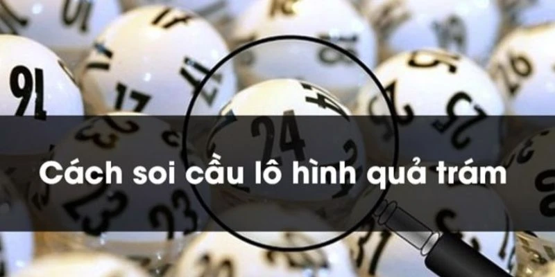 Vài nét về soi cầu quả trám 